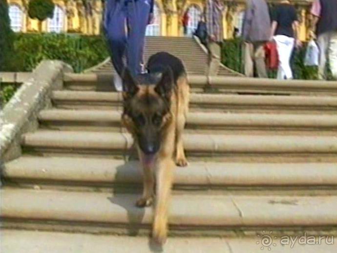 Потсдам: Сан-Суси 