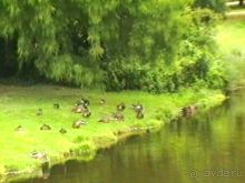 Потсдам: Сан-Суси 