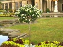 Потсдам: Сан-Суси 