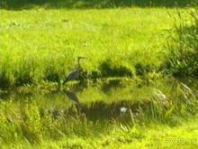 Потсдам: Сан-Суси 