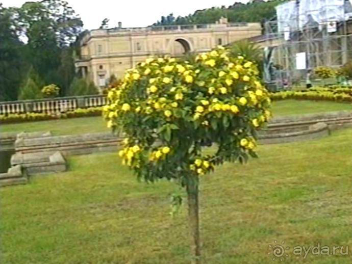 Потсдам: Сан-Суси 