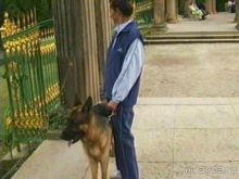 Потсдам: Сан-Суси 