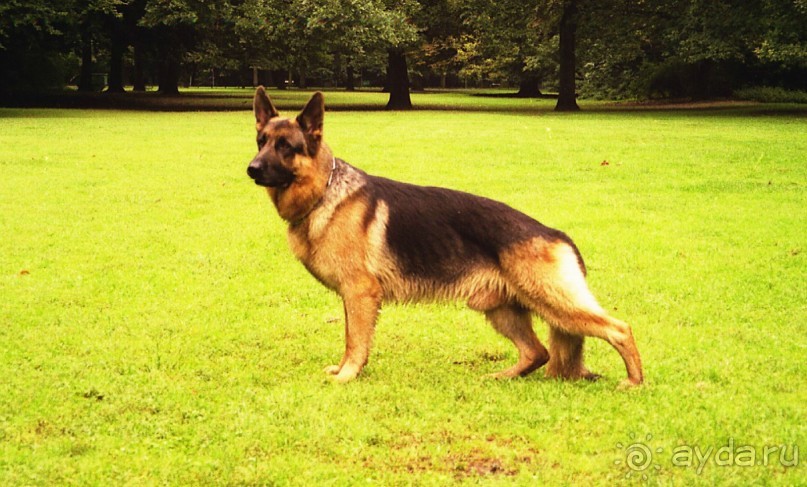 Потсдам: Сан-Суси 