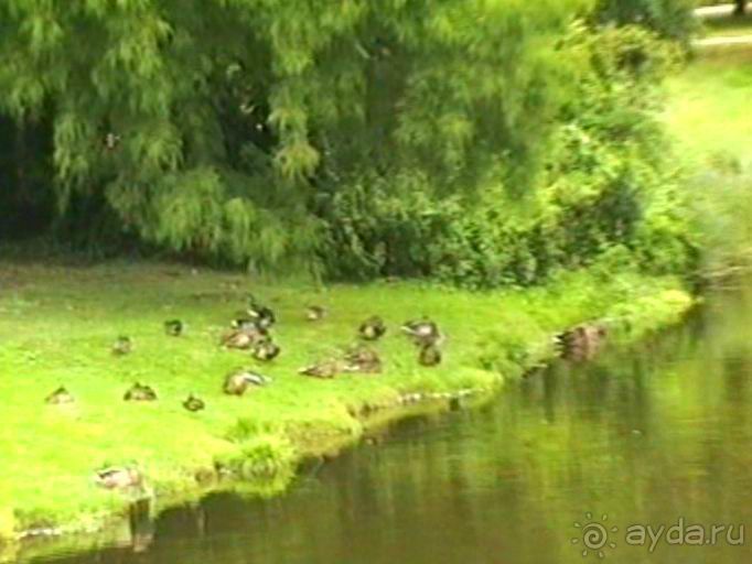 Потсдам: Сан-Суси 