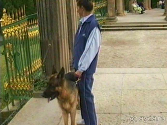 Потсдам: Сан-Суси 