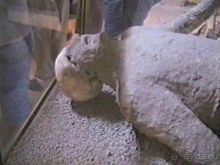 Сорренто, Масса-Лубренсе и Помпеи