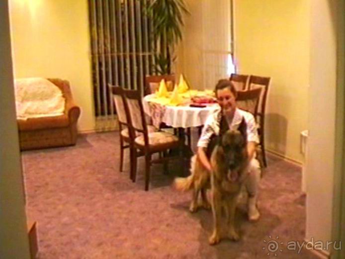 Четвертая поездка в Германию на автомобиле с немецкой овчаркой. Часть 1. Белоруссия и Польша