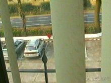 Четвертая поездка в Германию на автомобиле с немецкой овчаркой. Часть 1. Белоруссия и Польша