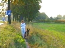 Четвертая поездка в Германию на автомобиле с немецкой овчаркой. Часть 1. Белоруссия и Польша