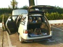 Четвертая поездка в Германию на автомобиле с немецкой овчаркой. Часть 1. Белоруссия и Польша