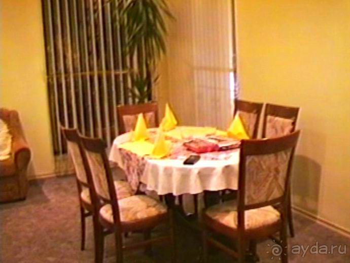 Четвертая поездка в Германию на автомобиле с немецкой овчаркой. Часть 1. Белоруссия и Польша