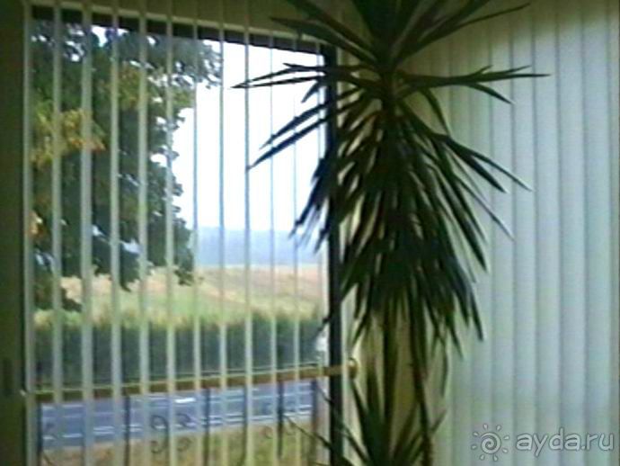 Четвертая поездка в Германию на автомобиле с немецкой овчаркой. Часть 1. Белоруссия и Польша