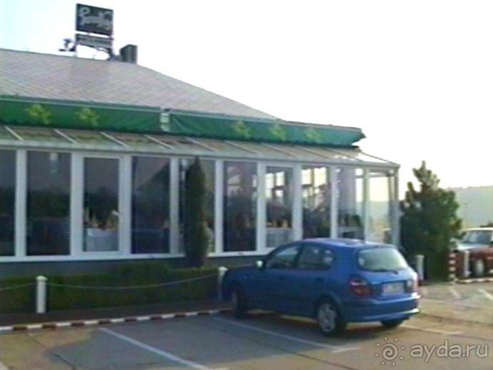 Четвертая поездка в Германию на автомобиле с немецкой овчаркой. Часть 1. Белоруссия и Польша