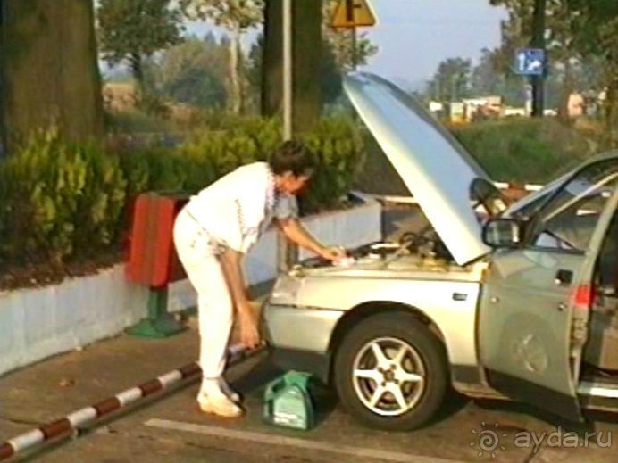 Четвертая поездка в Германию на автомобиле с немецкой овчаркой. Часть 1. Белоруссия и Польша