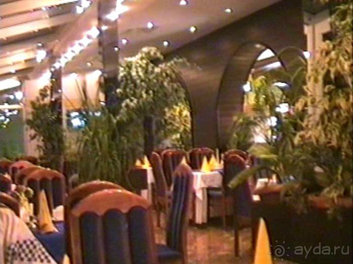 Четвертая поездка в Германию на автомобиле с немецкой овчаркой. Часть 1. Белоруссия и Польша