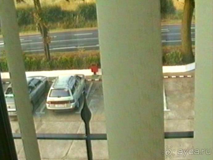 Четвертая поездка в Германию на автомобиле с немецкой овчаркой. Часть 1. Белоруссия и Польша