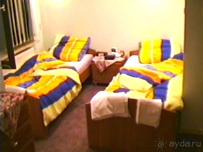 Четвертая поездка в Германию на автомобиле с немецкой овчаркой. Часть 1. Белоруссия и Польша