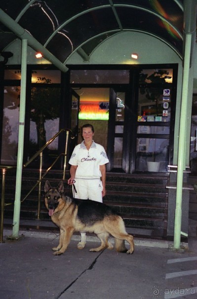 Четвертая поездка в Германию на автомобиле с немецкой овчаркой. Часть 1. Белоруссия и Польша