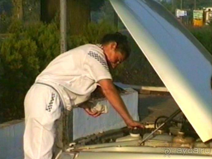 Четвертая поездка в Германию на автомобиле с немецкой овчаркой. Часть 1. Белоруссия и Польша