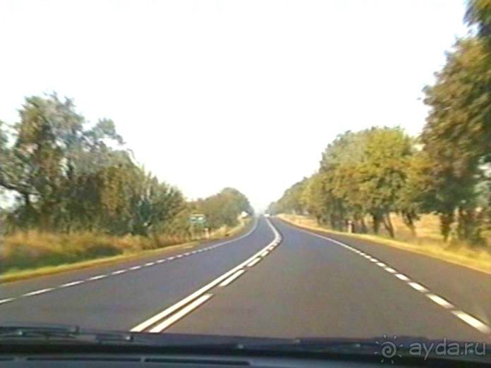 Четвертая поездка в Германию на автомобиле с немецкой овчаркой. Часть 1. Белоруссия и Польша