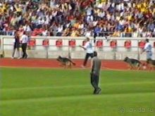 Вторая поездка в Германию на автомобиле: Зигер в Бремене