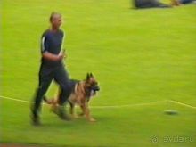 Вторая поездка в Германию на автомобиле: Зигер в Бремене