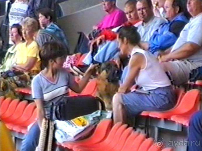 Вторая поездка в Германию на автомобиле: Зигер в Бремене