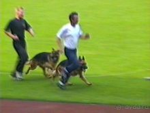 Вторая поездка в Германию на автомобиле: Зигер в Бремене