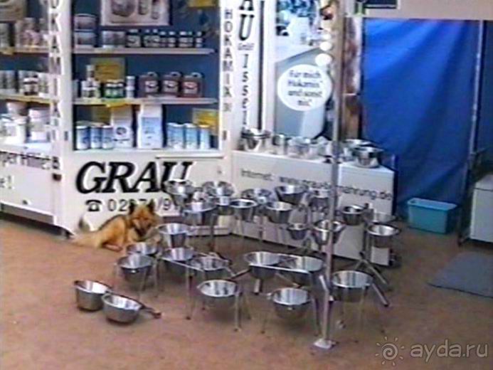 Вторая поездка в Германию на автомобиле: Зигер в Бремене