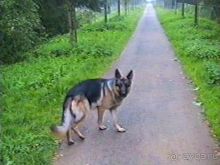 Вторая поездка в Германию на автомобиле: Зигер в Бремене