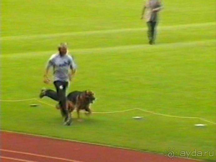 Вторая поездка в Германию на автомобиле: Зигер в Бремене