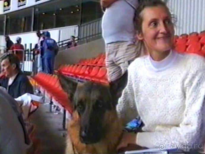 Вторая поездка в Германию на автомобиле: Зигер в Бремене