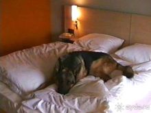 Вторая поездка в Германию на автомобиле: Зигер в Бремене