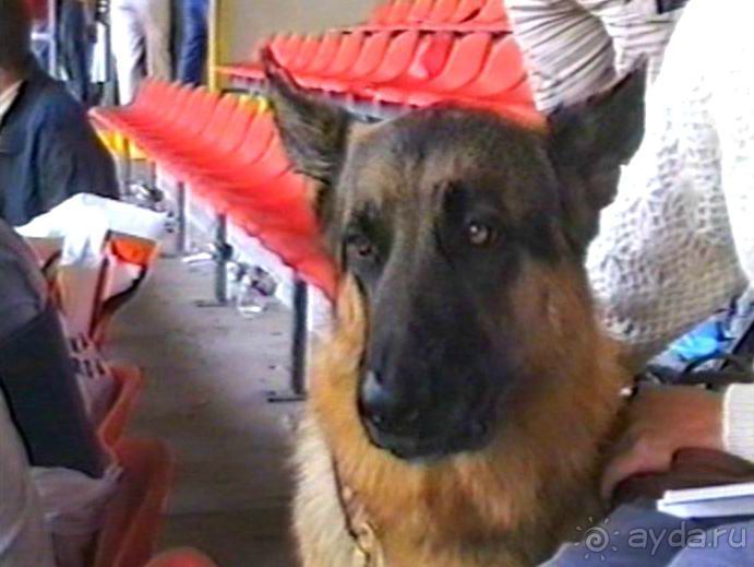 Вторая поездка в Германию на автомобиле: Зигер в Бремене