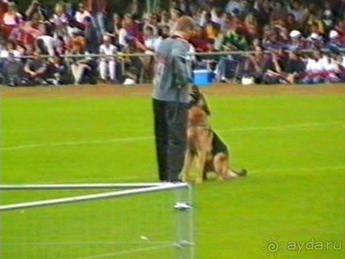 Вторая поездка в Германию на автомобиле: Зигер в Бремене