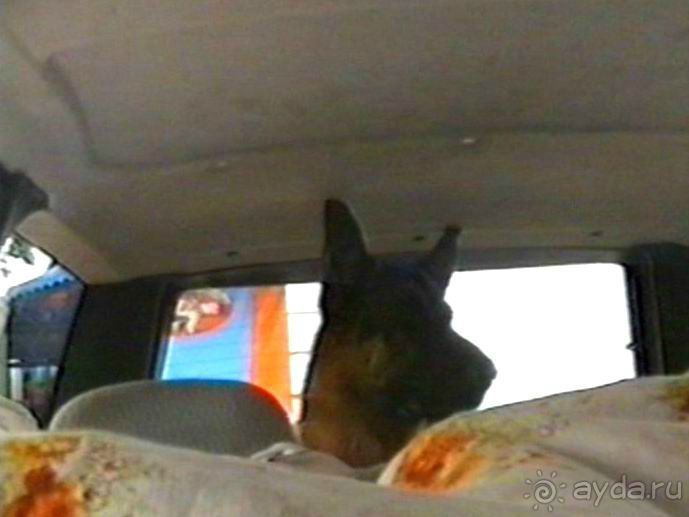 Вторая поездка в Германию на автомобиле: Зигер в Бремене