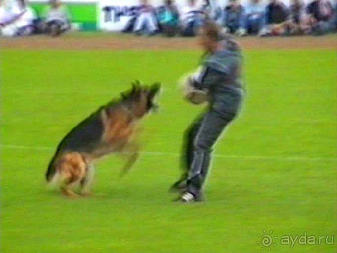 Вторая поездка в Германию на автомобиле: Зигер в Бремене