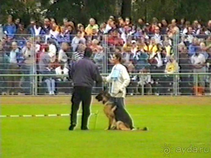 Вторая поездка в Германию на автомобиле: Зигер в Бремене