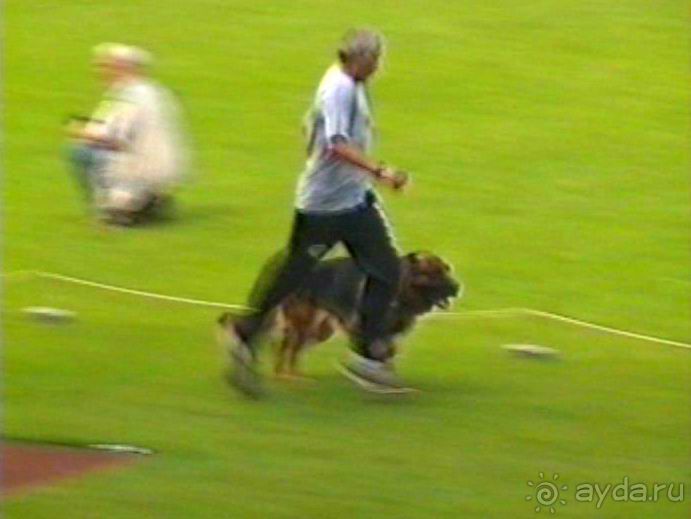 Вторая поездка в Германию на автомобиле: Зигер в Бремене