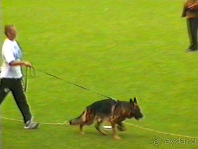 Вторая поездка в Германию на автомобиле: Зигер в Бремене