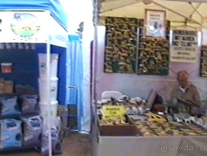 Вторая поездка в Германию на автомобиле: Зигер в Бремене