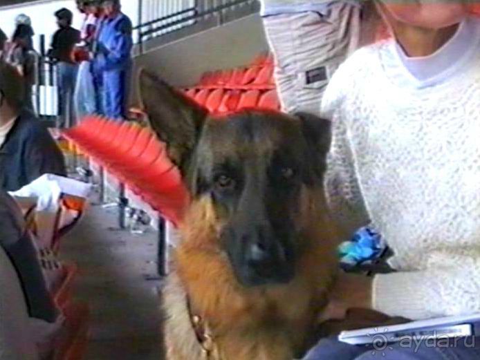 Вторая поездка в Германию на автомобиле: Зигер в Бремене