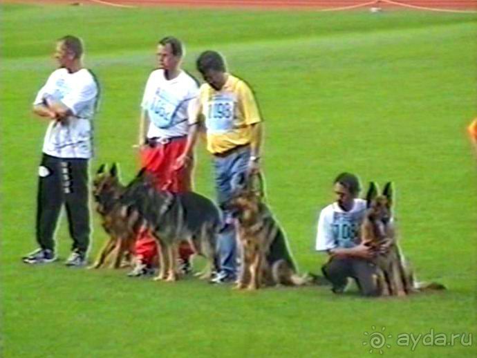 Вторая поездка в Германию на автомобиле: Зигер в Бремене