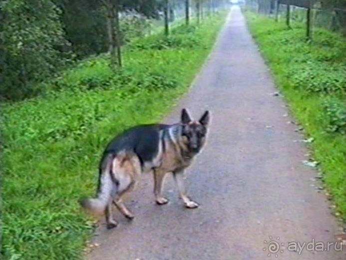 Вторая поездка в Германию на автомобиле: Зигер в Бремене