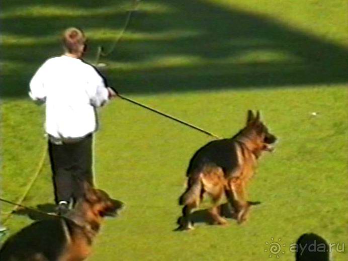 Вторая поездка в Германию на автомобиле: Зигер в Бремене