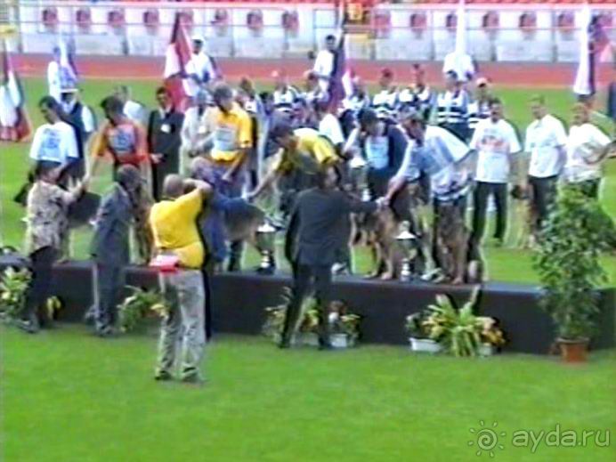 Вторая поездка в Германию на автомобиле: Зигер в Бремене