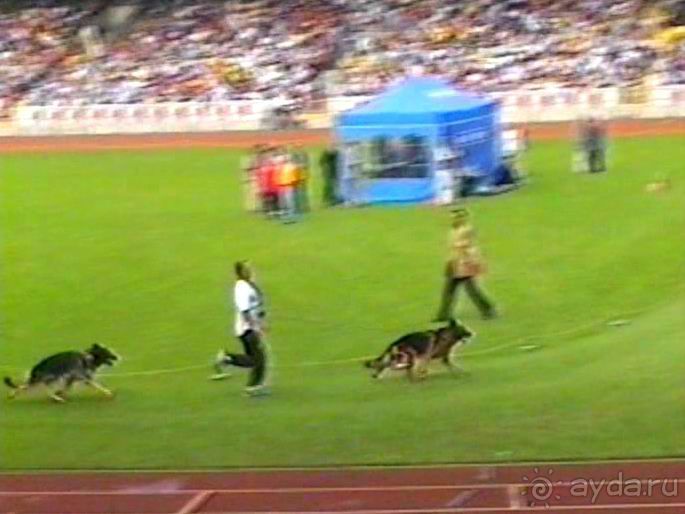 Вторая поездка в Германию на автомобиле: Зигер в Бремене