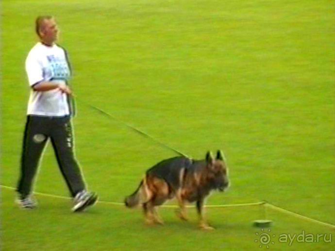 Вторая поездка в Германию на автомобиле: Зигер в Бремене