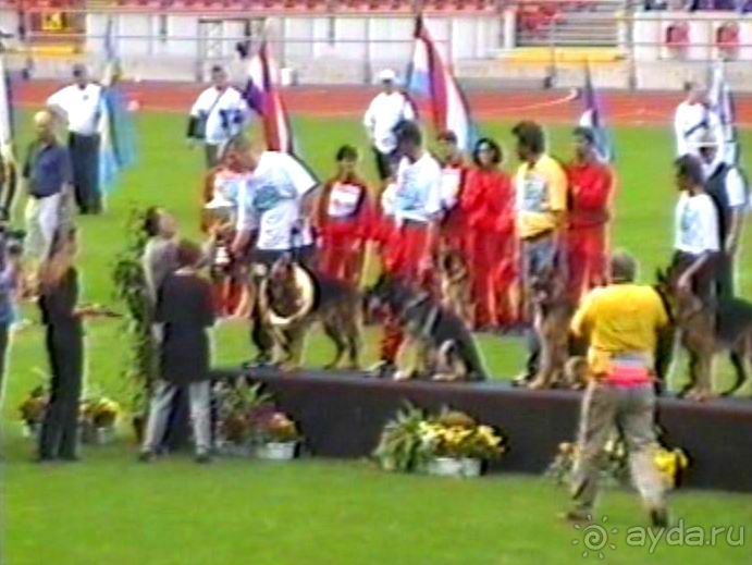 Вторая поездка в Германию на автомобиле: Зигер в Бремене