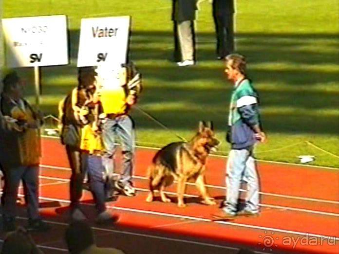 Вторая поездка в Германию на автомобиле: Зигер в Бремене